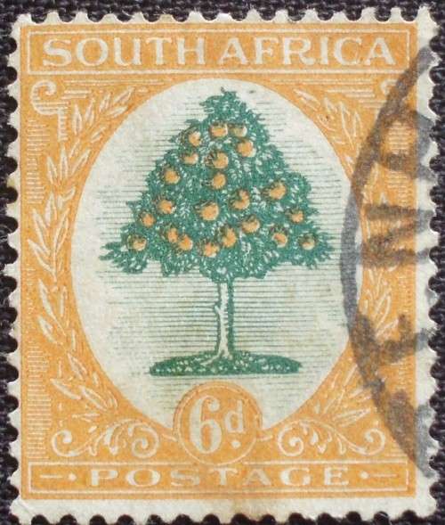 Stamp - SG 61 - Union Of SA - 1930s Orange Tree - 6D