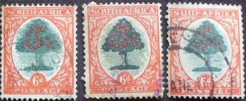 Stamp - SG 61 - Union Of SA - 1930s Orange Tree - 6D x 3