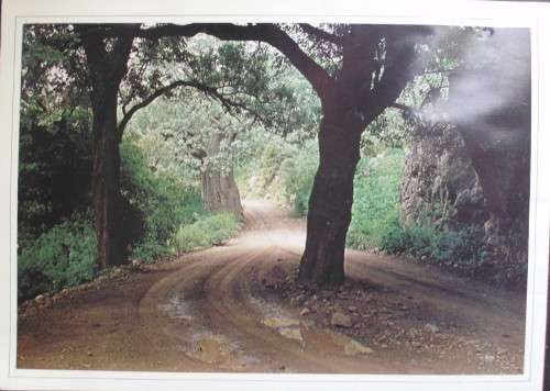 Booklet/Brochure - Venda Independence - 1979