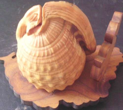 Seashell Lamp - Wooden base