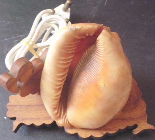 Seashell Lamp - Wooden base