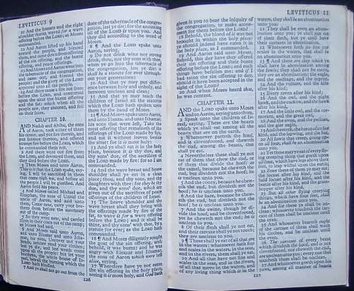 Bible - The Holy Bible - Vintage - Undated - Pocket