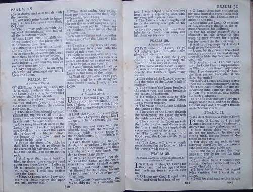 Bible - The Holy Bible - Vintage - Undated - Pocket
