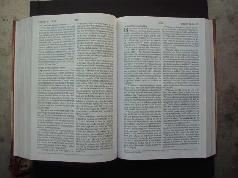 Bible/Book - Devotional Bible - Oswald Chambers - 2007