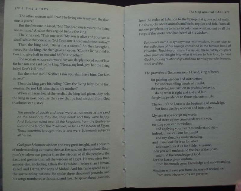 Bible/Book - The Story - NIV - Zondervan - 2011