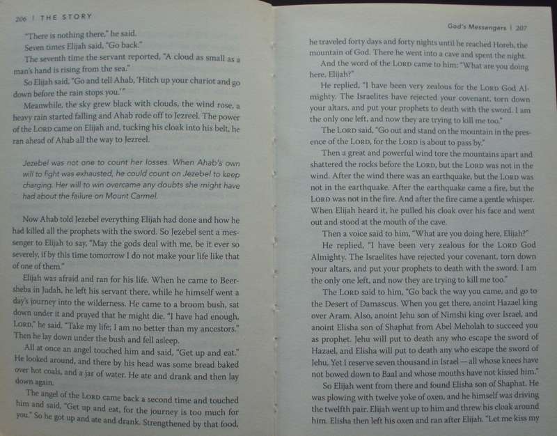 Bible/Book - The Story - NIV - Zondervan - 2011