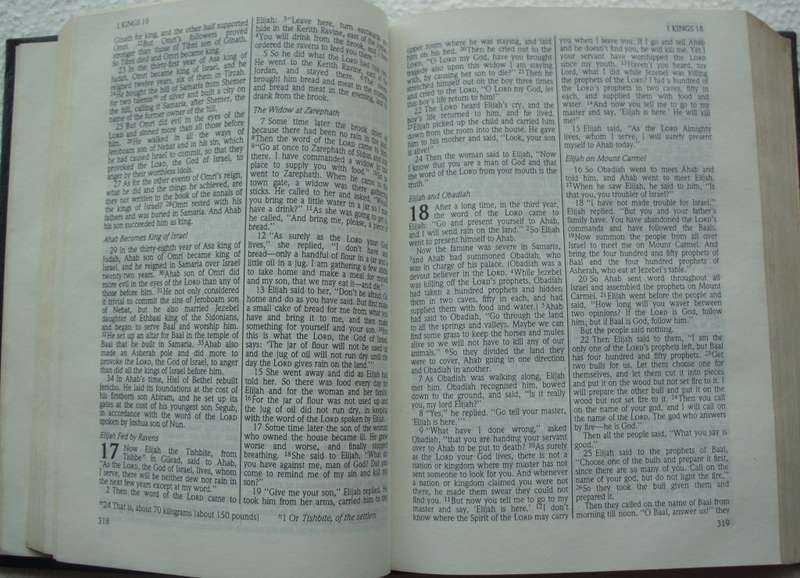 Bible - The Holy Bible - NIV - 1986