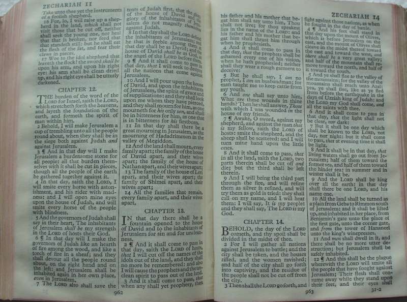 Bible - The Holy Bible - Pocket - Undated - BFBS