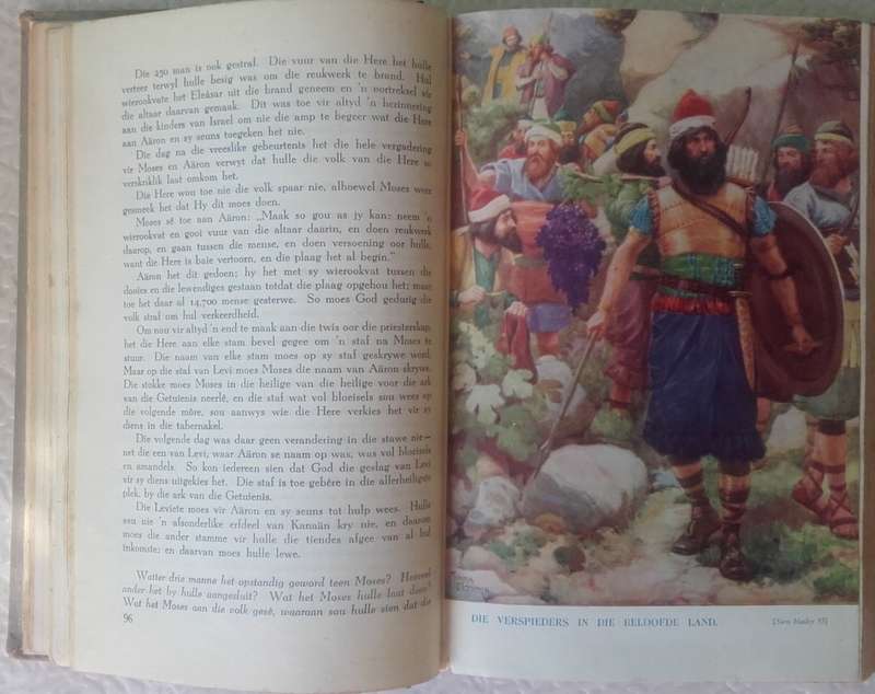 Bible - Die Afrikaanse Kinderbybel - 1949