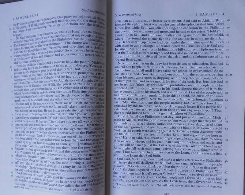 Bible - The New English Bible - 1970