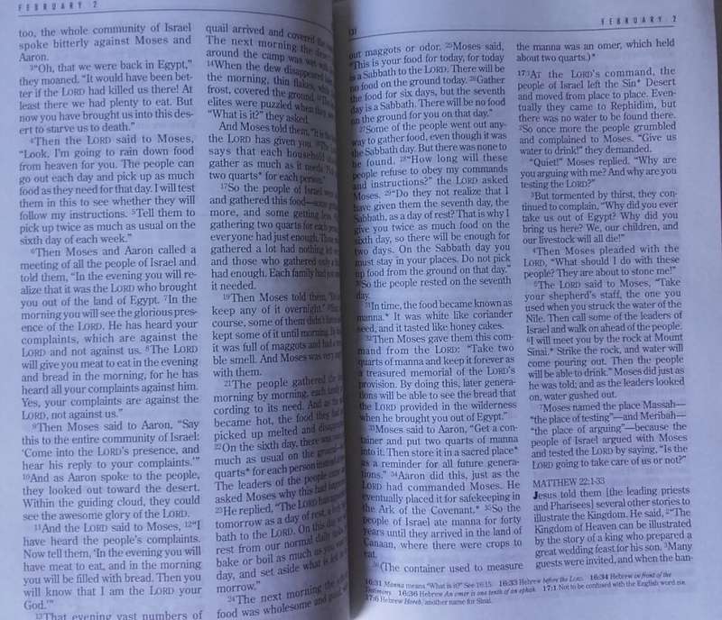 Bible - The One Year Bible - NLT - 1996