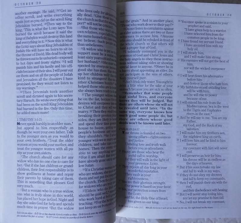 Bible - The One Year Bible - NLT - 1996