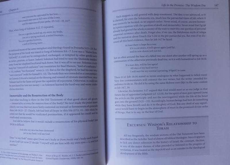 Bible/Book - The Promised Plan of God - 2008 - Zondervan