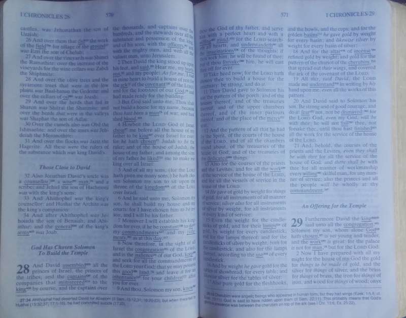 Bible - The Hebrew Greek Study Bible - KJV - 1988