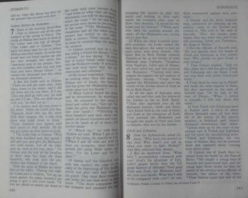 Bible The Holy Bible - NIV - 1981