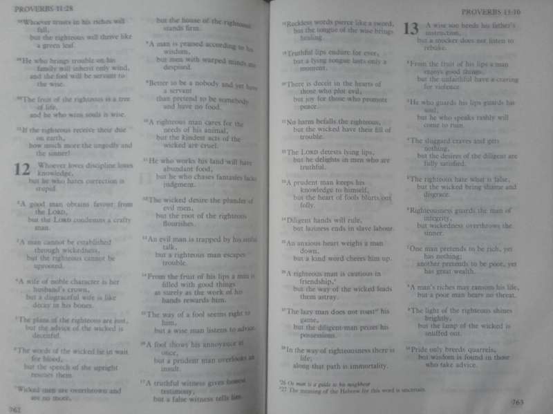 Bible The Holy Bible - NIV - 1981
