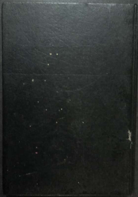 Bible The Holy Bible - NIV - 1981