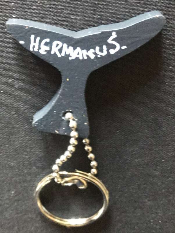Keyrings x 20 - Wooden With Hermanus Painted On.