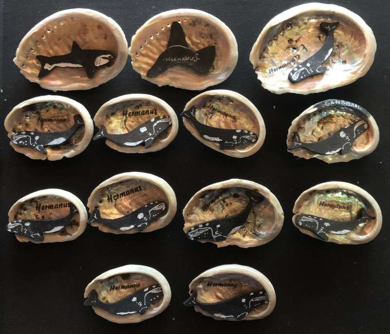 Seashells x 26 - With Wooden Sea Animals - Ornaments