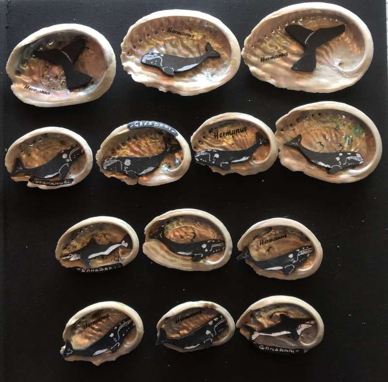 Seashells x 26 - With Wooden Sea Animals - Ornaments