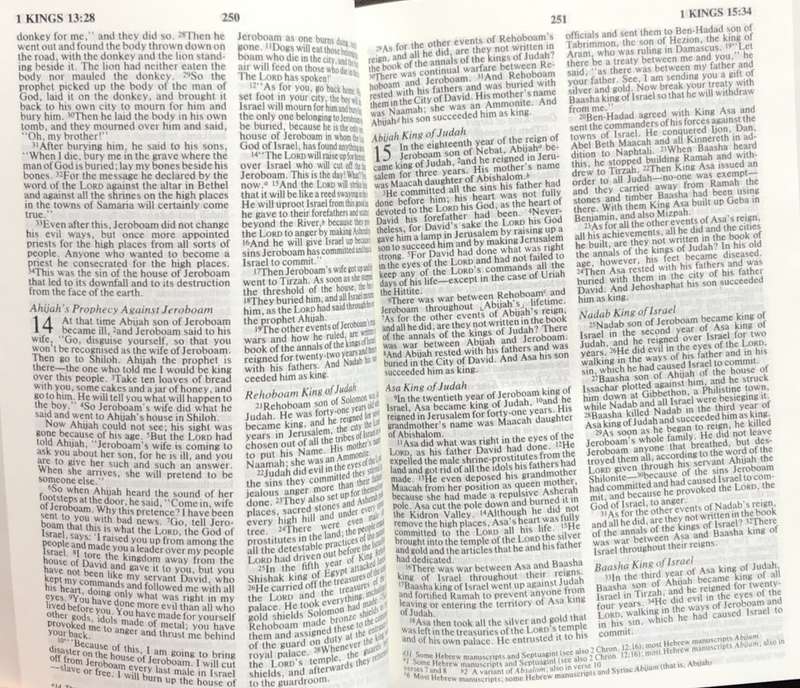 Bible - The Holy Bible - NIV - 1984 - Pocket - Perfect
