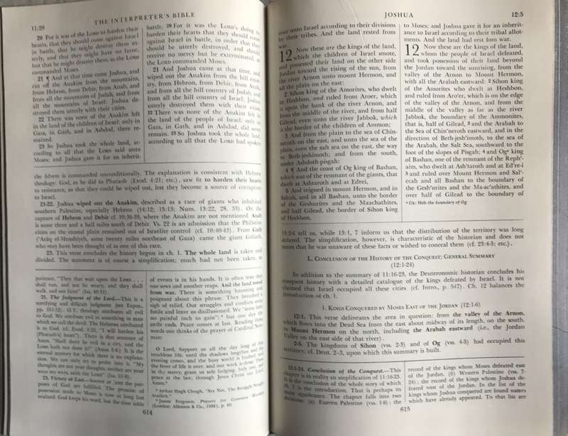 Bible - The Intertreters Bible - Vol 2 of 12 - 1953