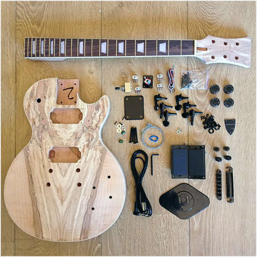DIY Guitar Kit - EG LP 10