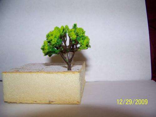 10 TREES WITH YELLOW FLOWERS - N SCALE