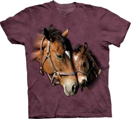 T Shirt LONG sleeve Two hearts Medium