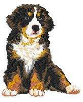 cream Guest Towel Bernese Pup Dog