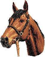 cream Guest Towel Horse Chestnut