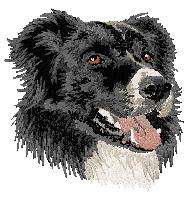 cream Guest Towel Border Collie    Dog