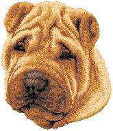 cream guest Sharpei Dog
