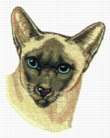 white guest towel Siamese (oriental)  Cat