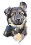 light pink   Guest Towel GSD German shepherd pup   Dog