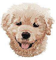 Cream  Guest Towel  Golden retriever Pup   Dog