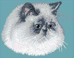 Cat EMBROIDERED  white TOWEL Persian 2