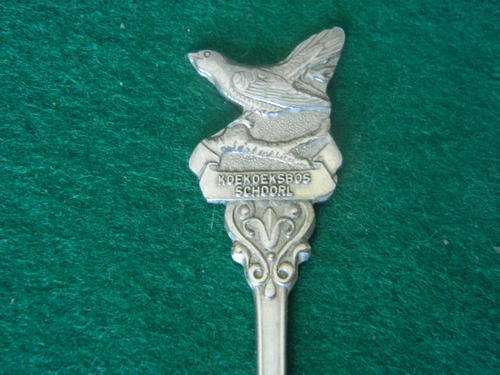 Silver Spoon Koekdeksbos Schoorl
