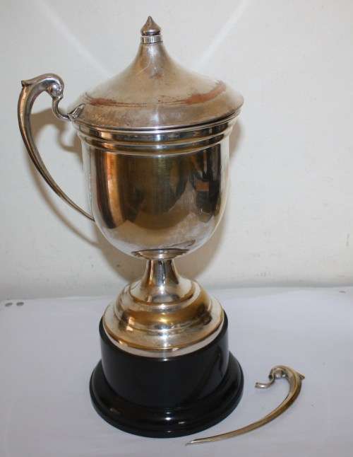 Trophy-As per photos-Needs Repair-36cm High(including base)