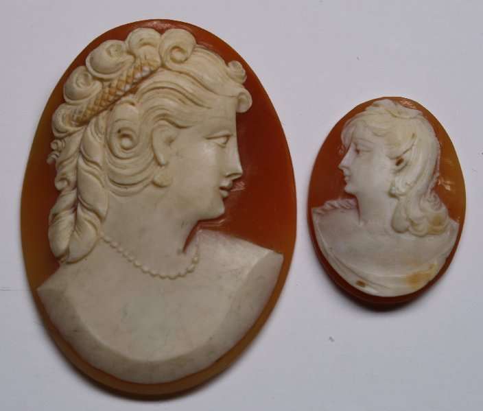 Cameo Not in Frames