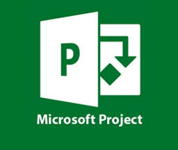MICROSOFT PROJECTS PROFESSIONAL 2016