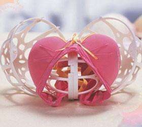BUBBLE BRA SAVER - LAUNDRY - WASHING - UNDERWEAR
