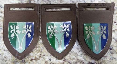 3 x shoulder flash @ R1 start matching pair plus 1 RARE