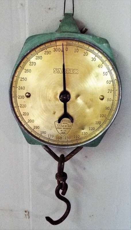 WOW nice big Salter scale 300lb