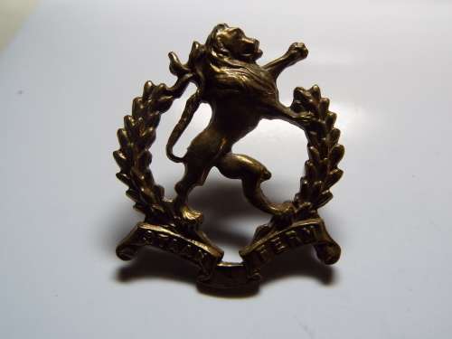 NICE REGIMENT HIGHVELD  BADGE