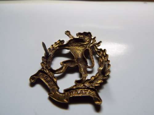 NICE REGIMENT HIGHVELD  BADGE