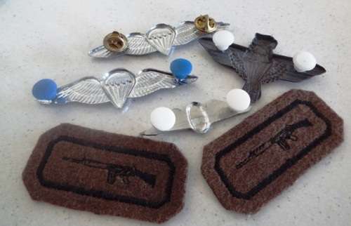 MILITARIA WINGS    @R1 START LOT