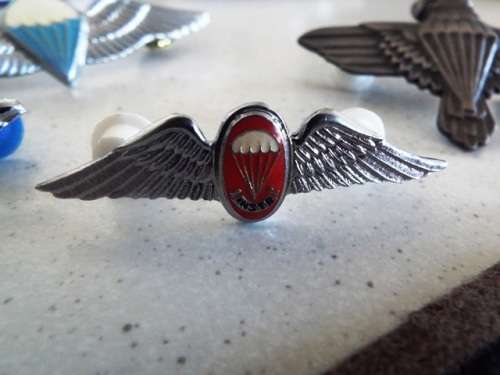 MILITARIA WINGS    @R1 START LOT