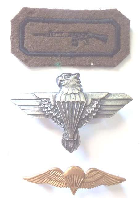 Vintage army badges
