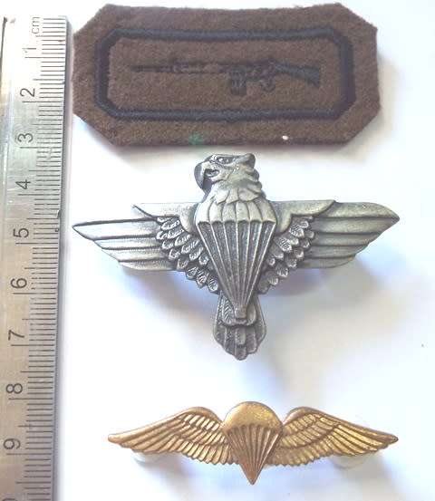 Vintage army badges